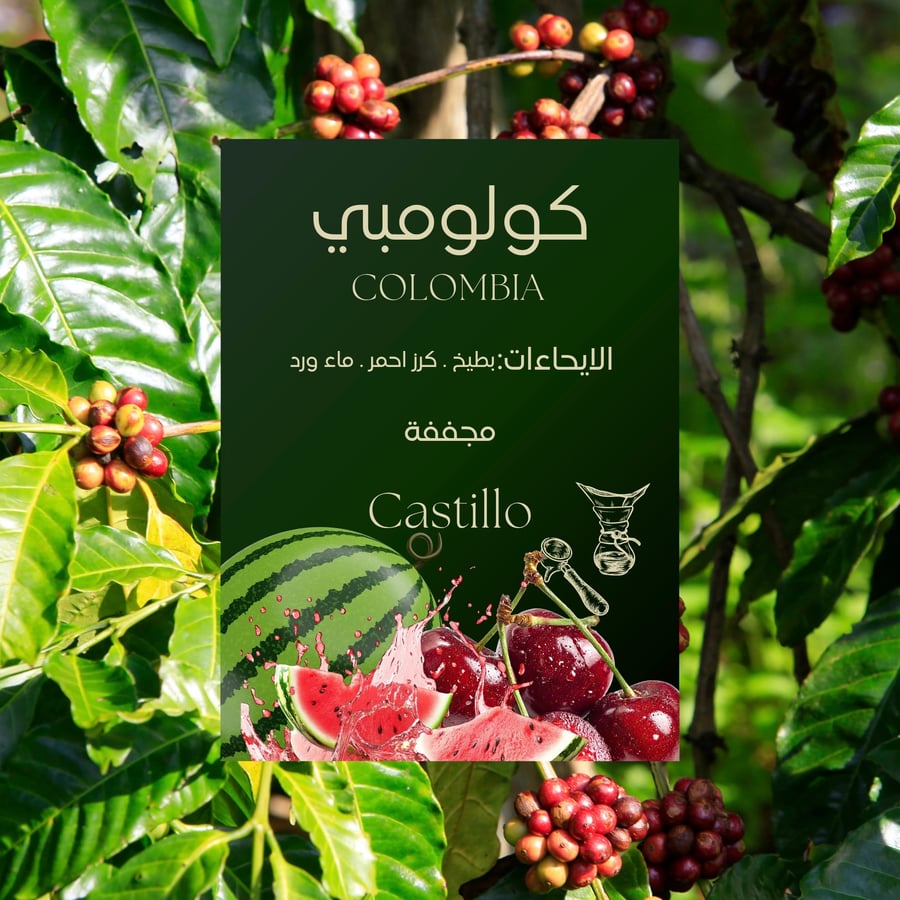 بكج ROHEN