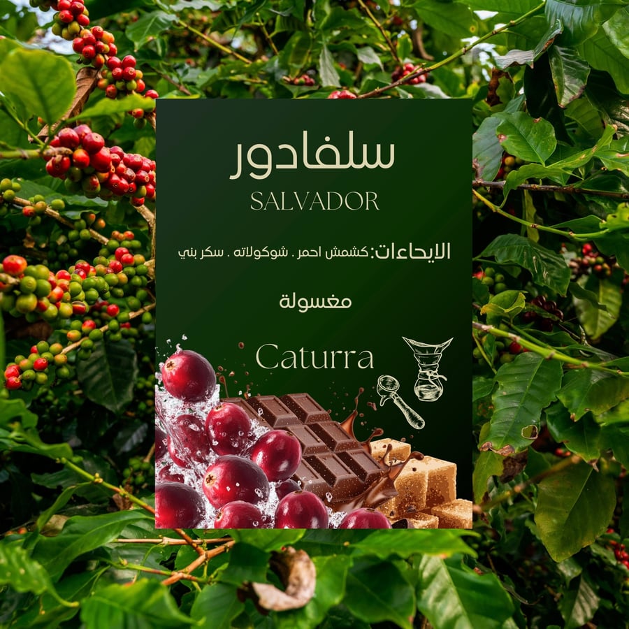 بكج ROHEN