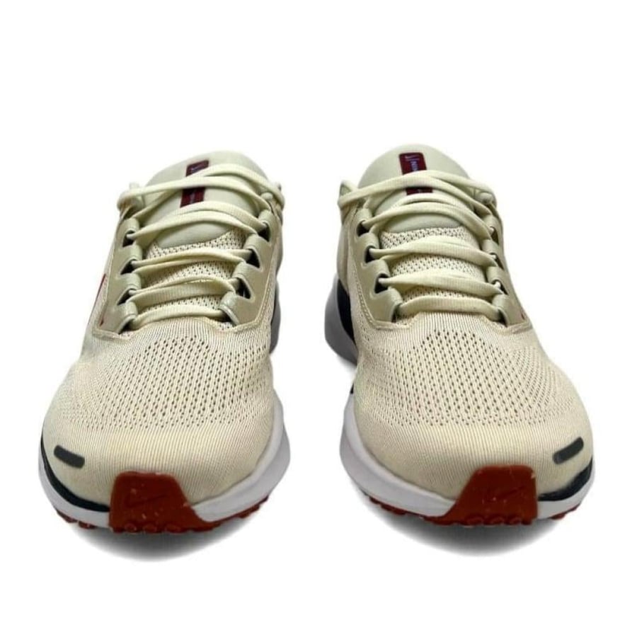 Pegasus 41