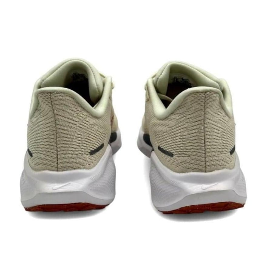 Pegasus 41