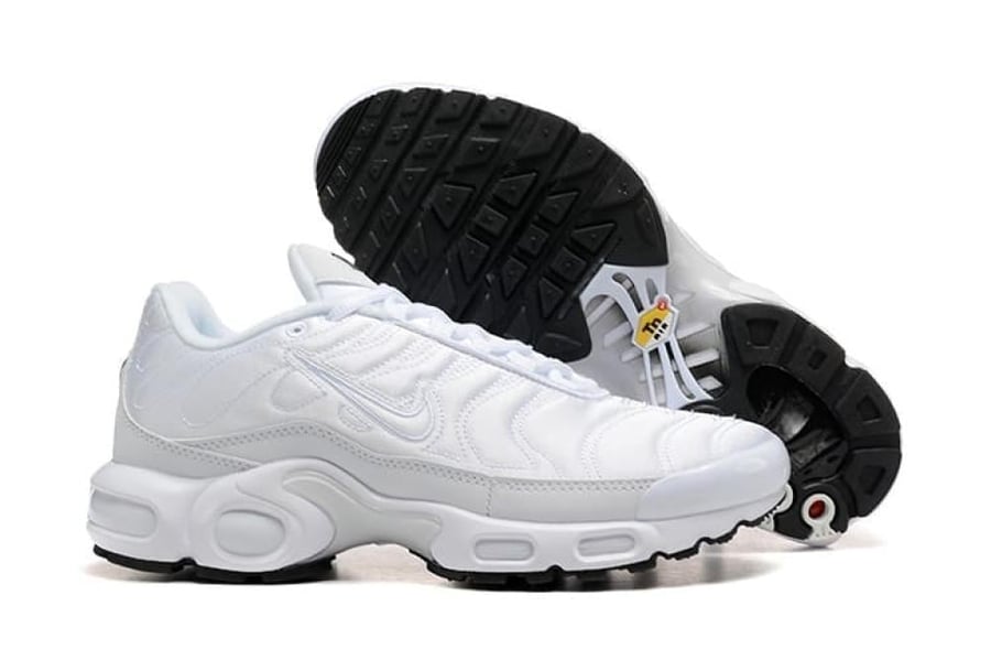 Air max plus