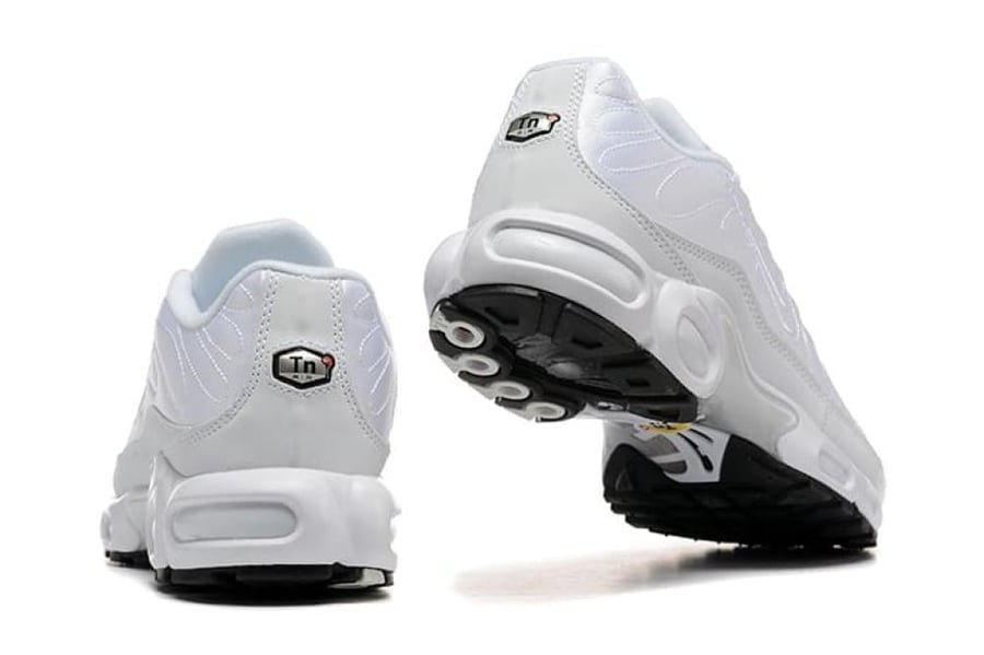 Air max plus