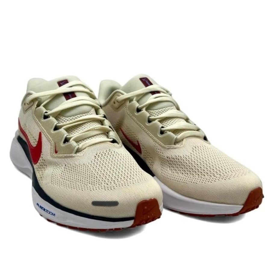 Pegasus 41