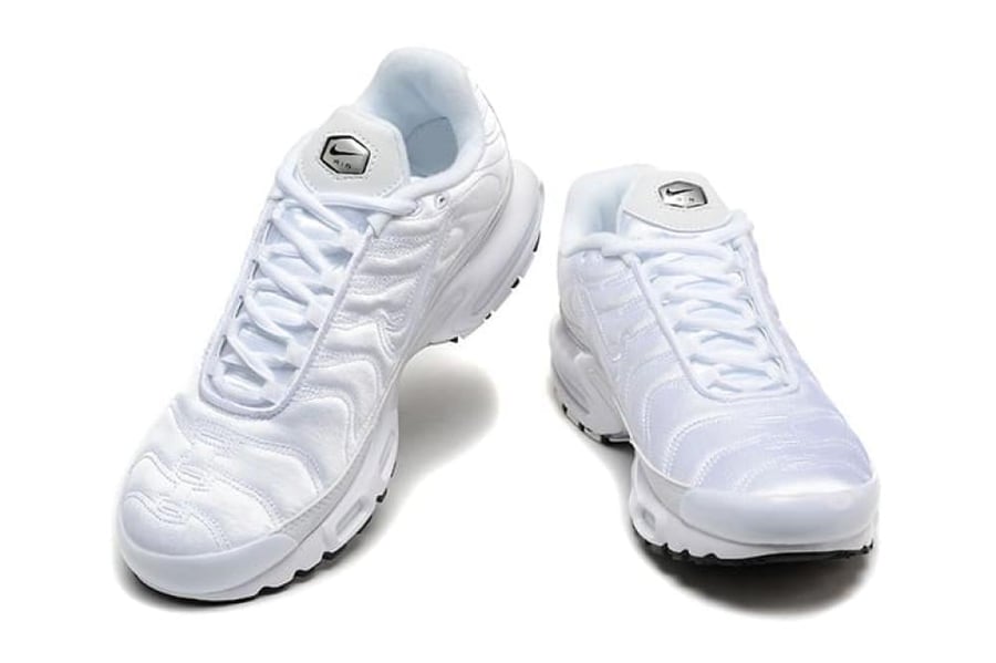 Air max plus