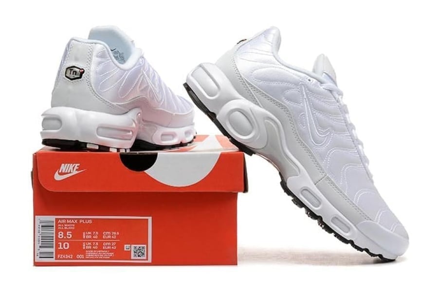 Air max plus