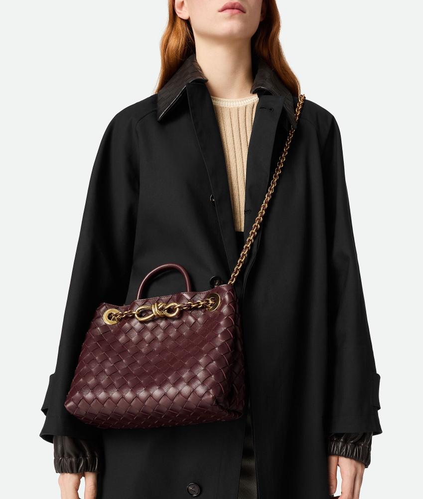 Bottega Veneta Small Andiamo Chain Burgundy — بوتيغا أنديامو