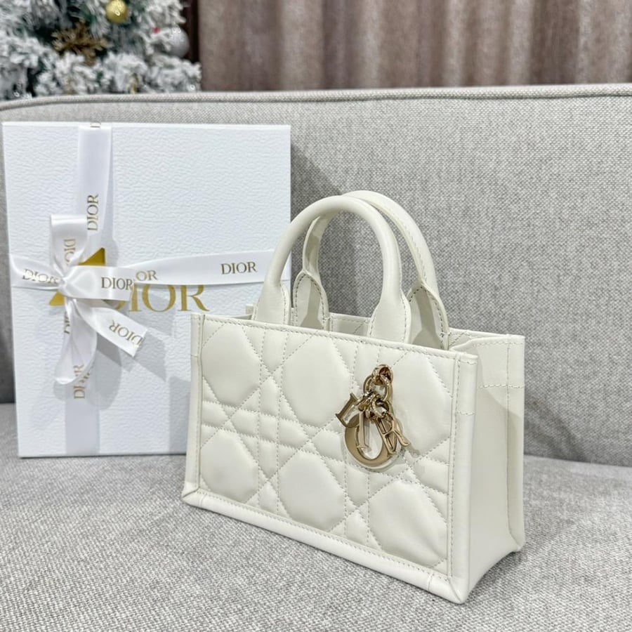 Mini Dior Book Tote