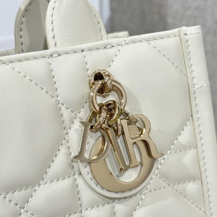 Mini Dior Book Tote