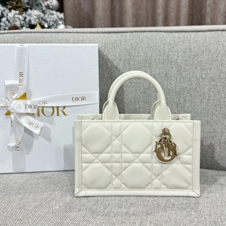 Mini Dior Book Tote