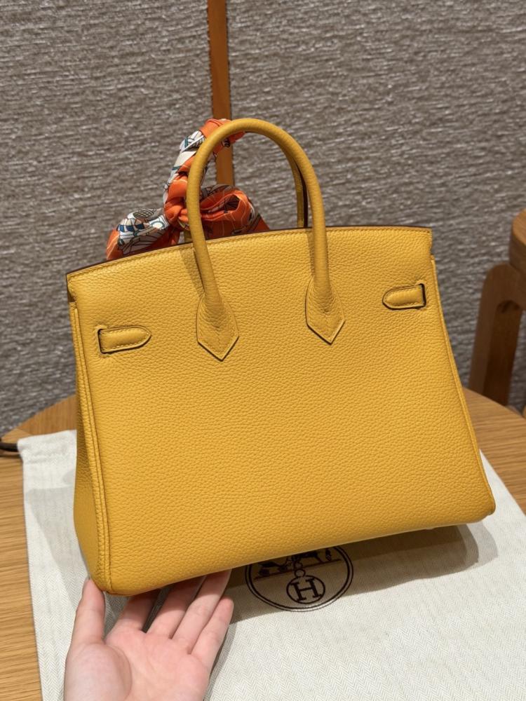 Birkin 25cm #12