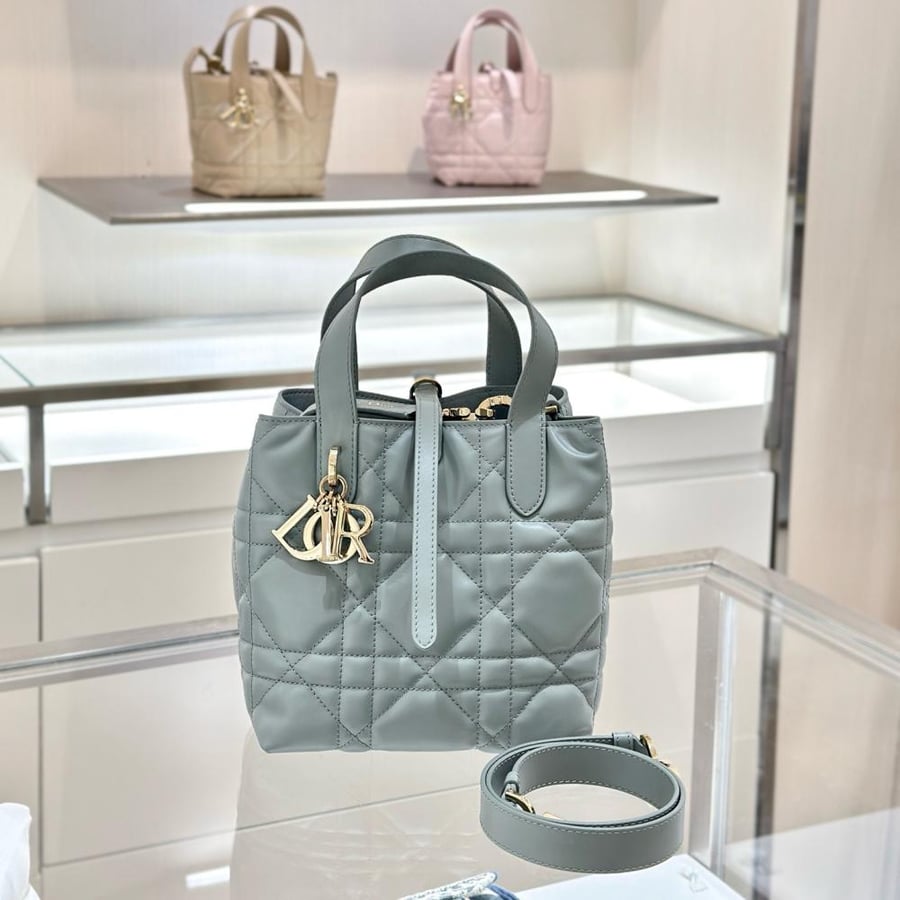 Small Dior Toujours Vertical Tote Bag