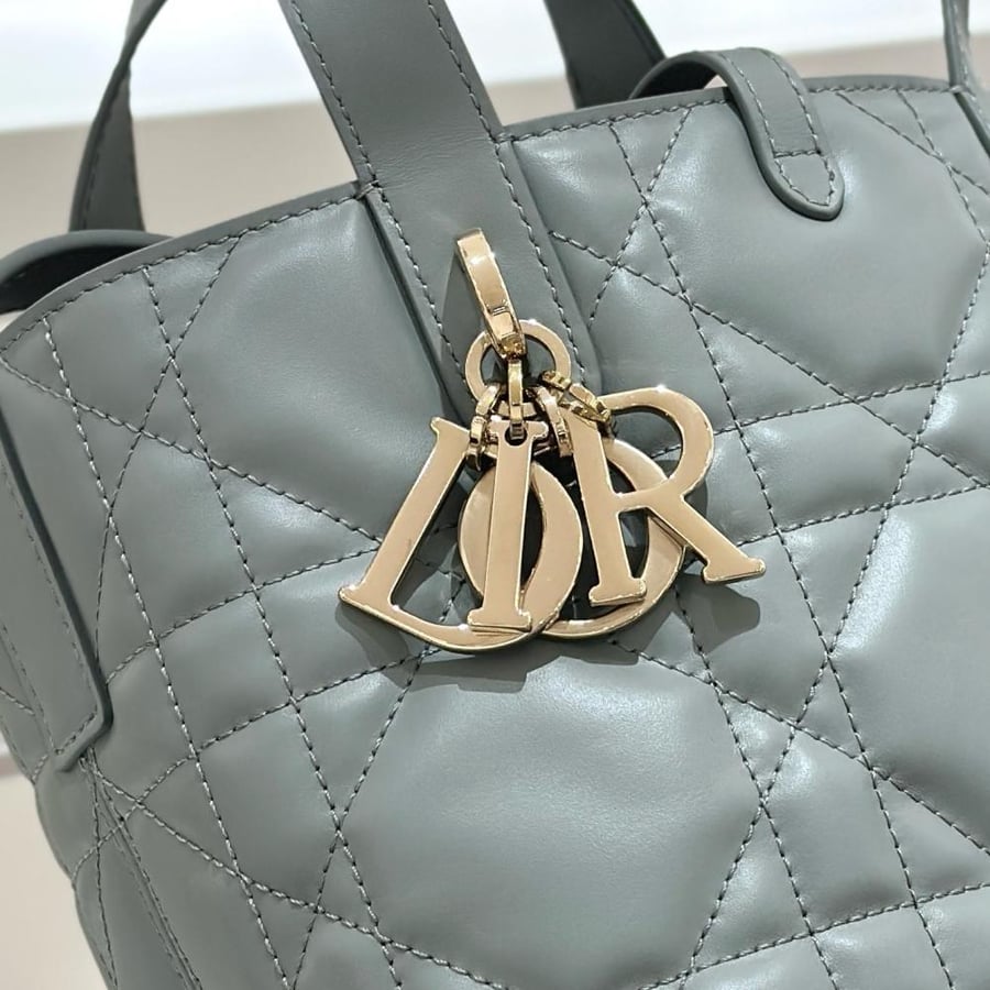 Small Dior Toujours Vertical Tote Bag