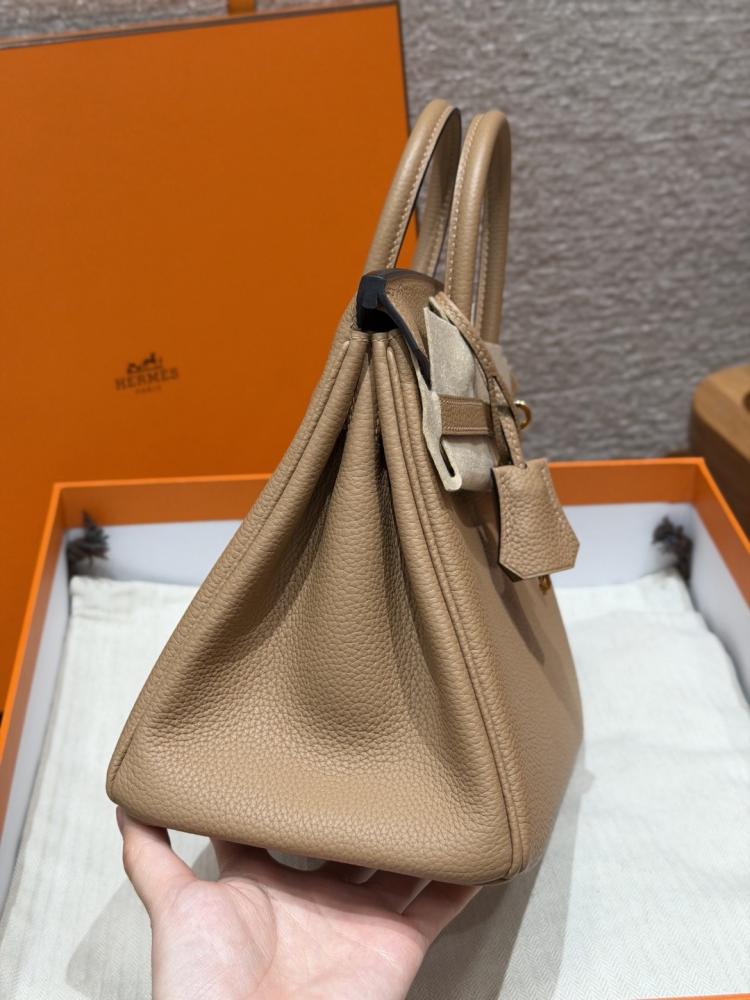 Birkin 25cm #17