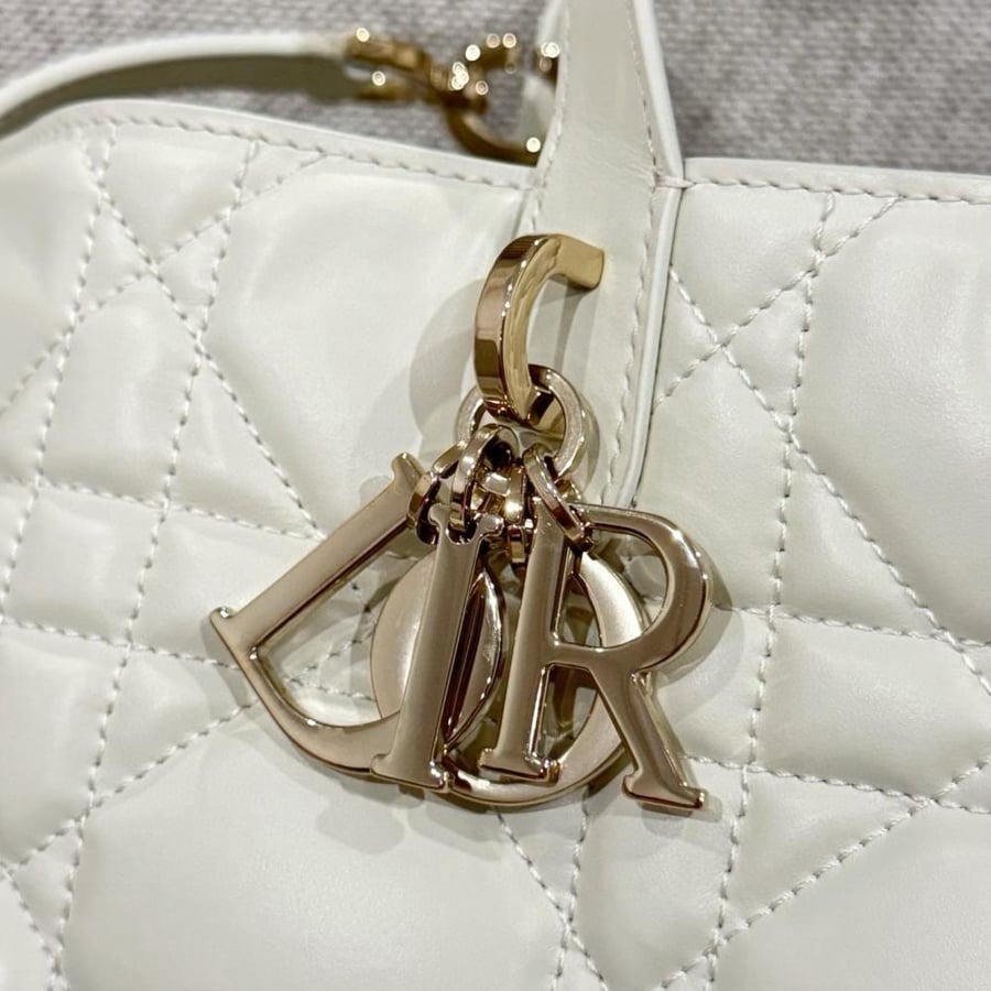 Small Dior Toujours Bag