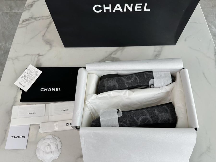Chanel ballerina #10