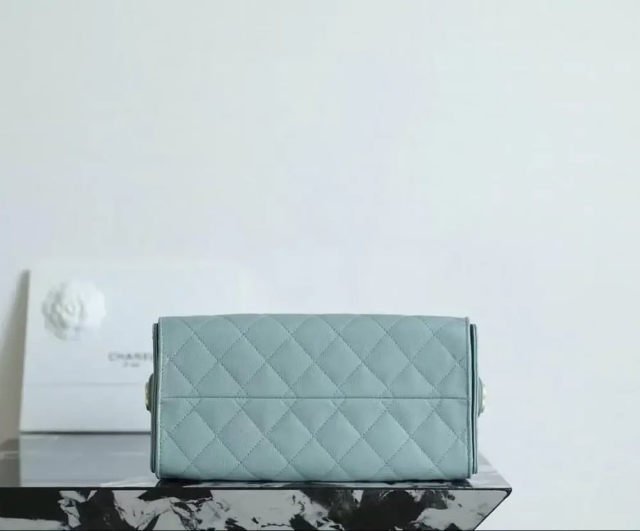 CHANEL 25 SMALL HANDBAG