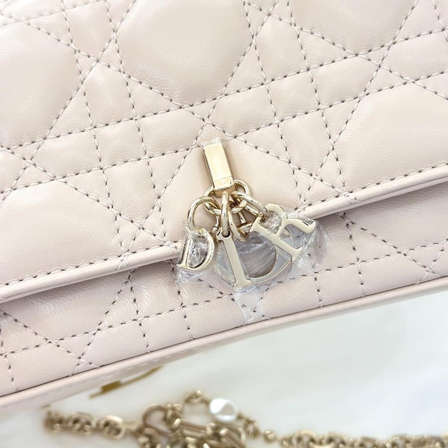 My dior phone pouch