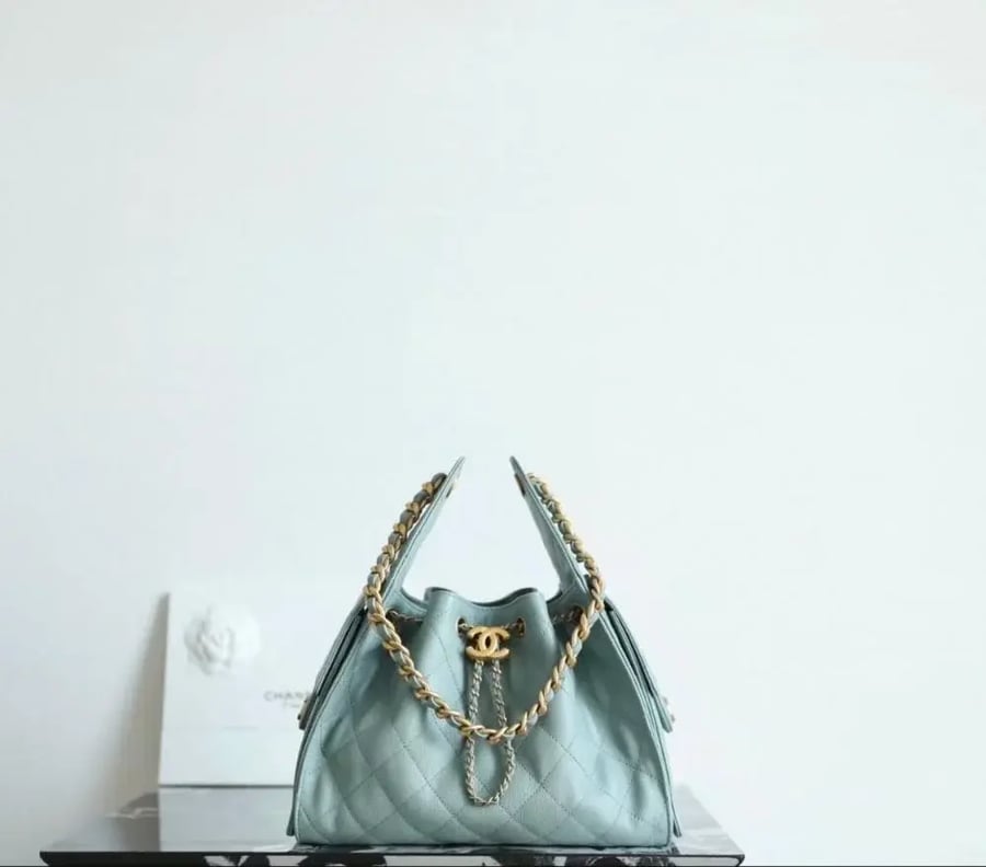 CHANEL 25 SMALL HANDBAG