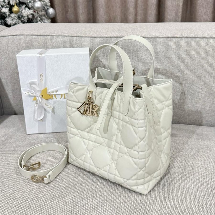 Small Dior Toujours Bag