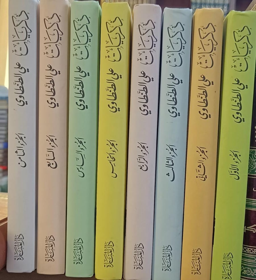 ذكريات علي الطنطاوي 8/1   " دار المنارة"
