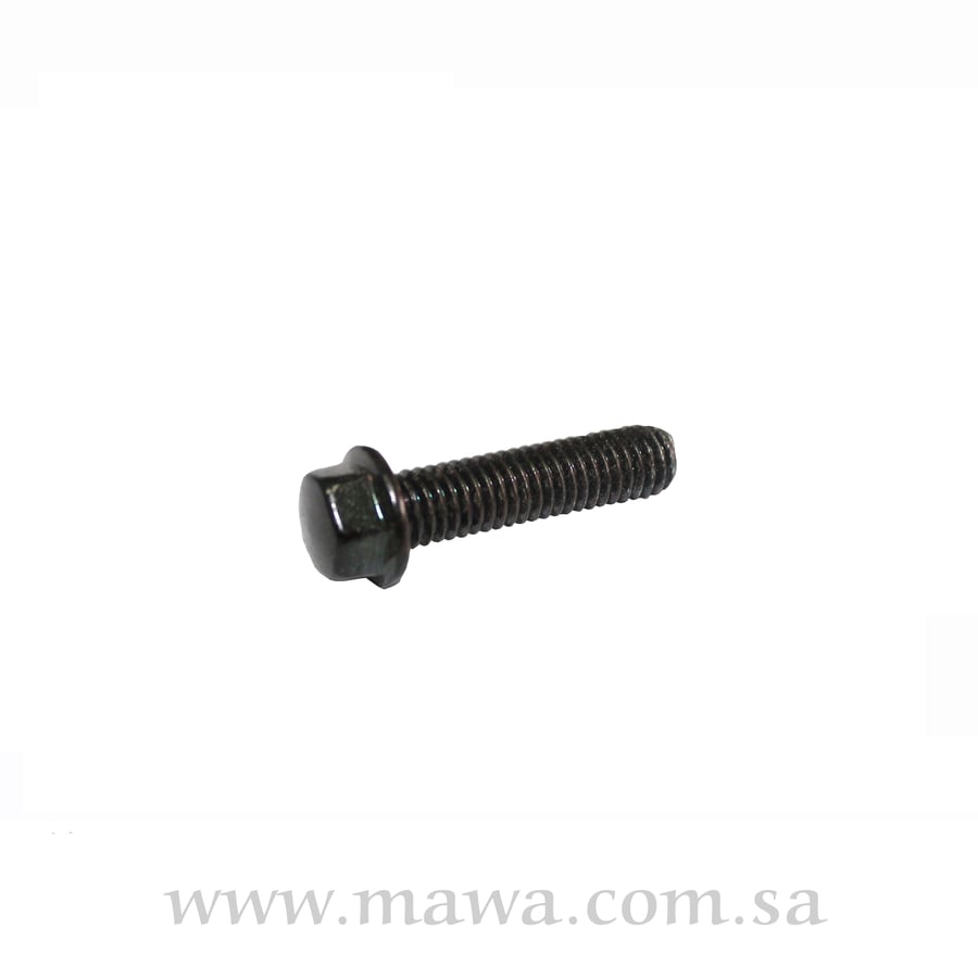 FLANGE BOLT 6×25