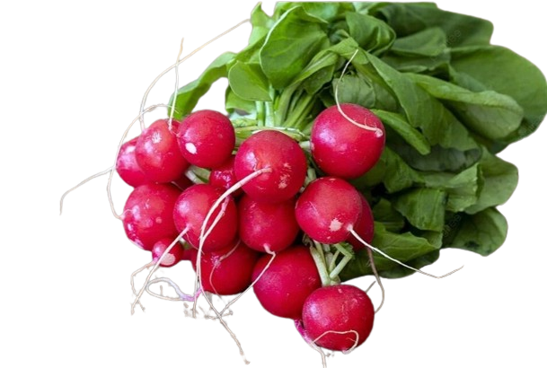 Red radish