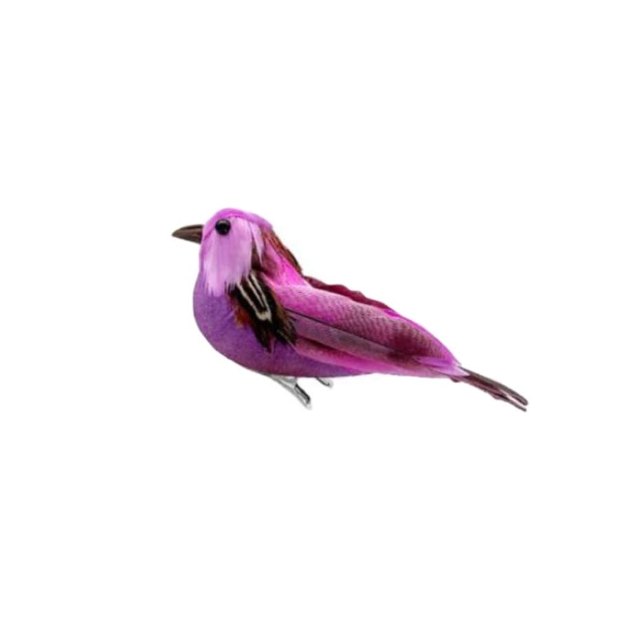 عصافير صغيرة ملونه