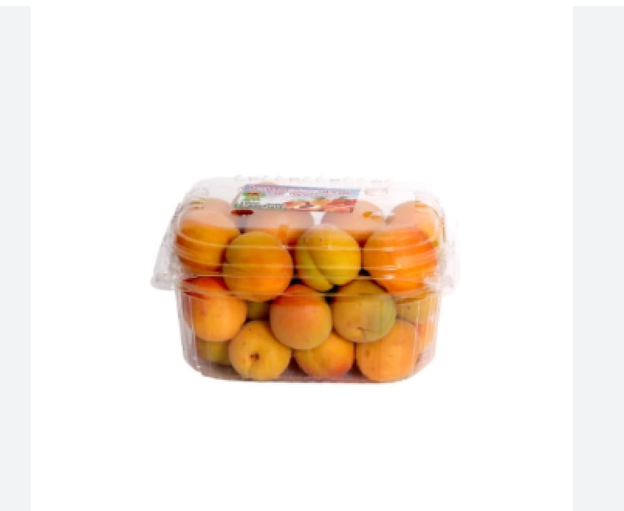 مشمش اردني علبة