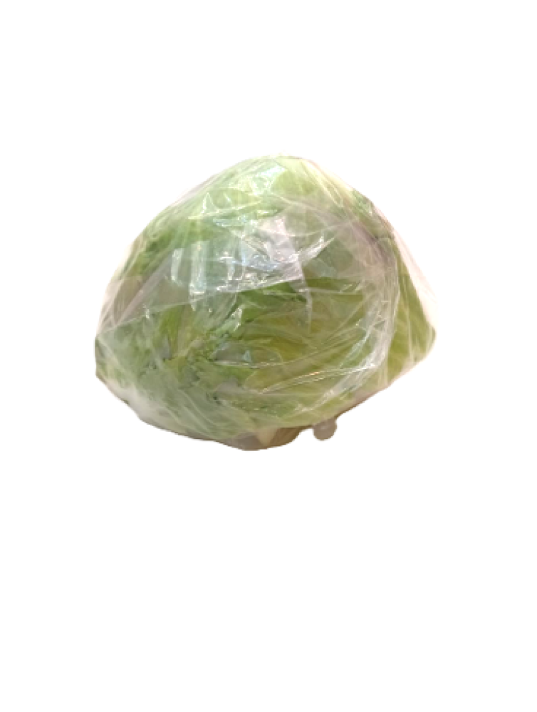 خس امريكي