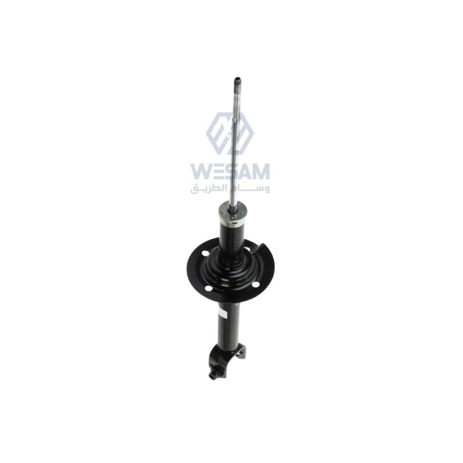 Rear Shock Absorber Left/Right Honda Accord 2008–2012 China