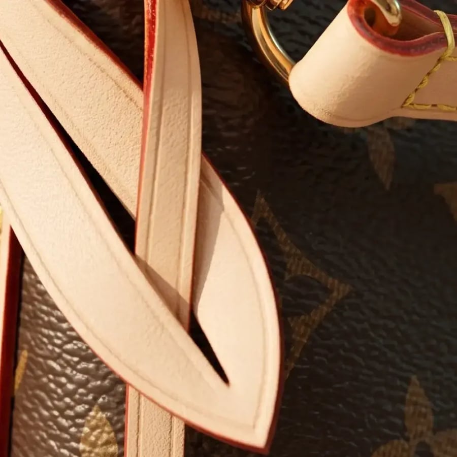 حقيبة لوي فيتون - غريسفول (Louis Vuitton Graceful Bag)