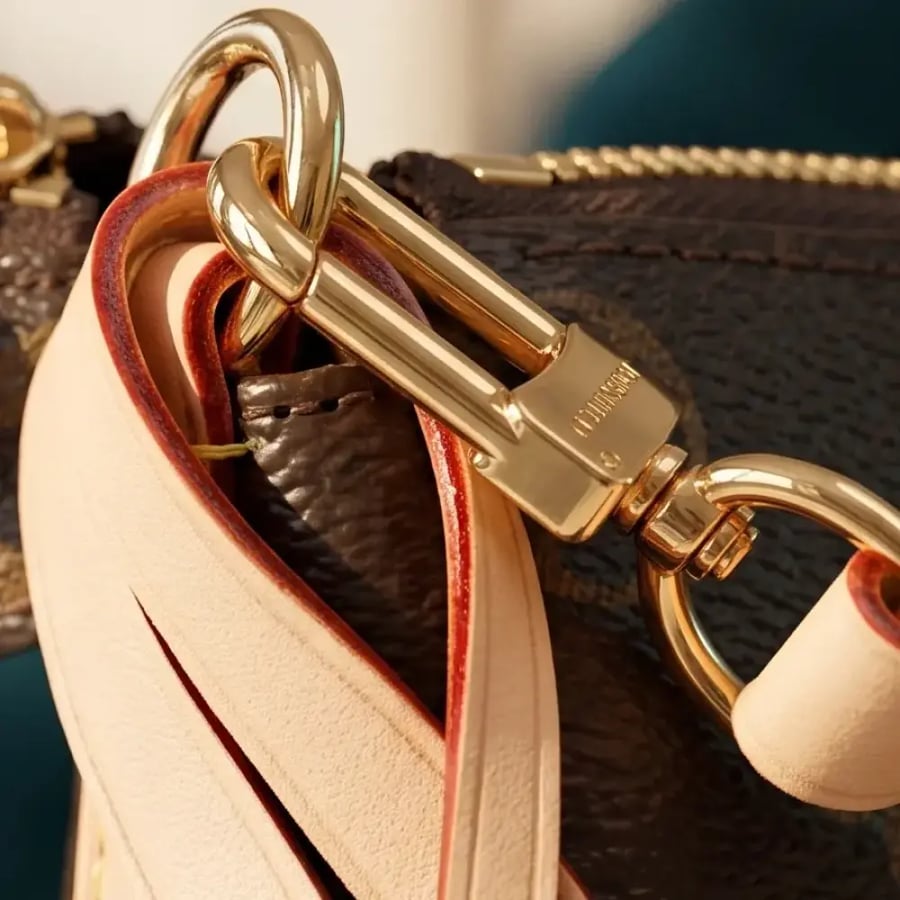 حقيبة لوي فيتون - غريسفول (Louis Vuitton Graceful Bag)