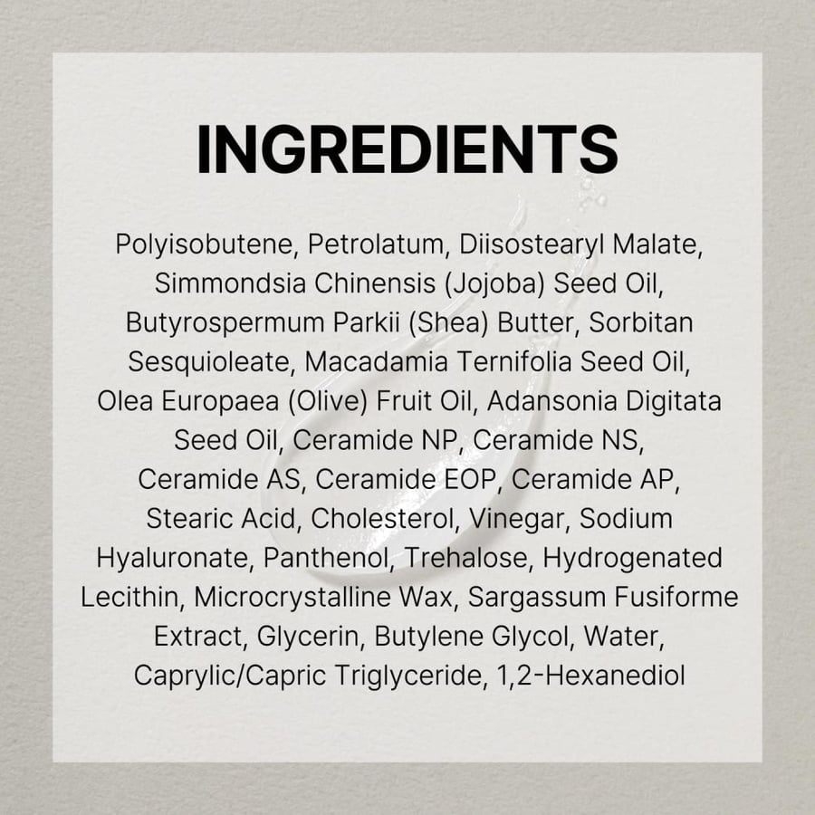 SOLID IN Ceramide Lip Essence