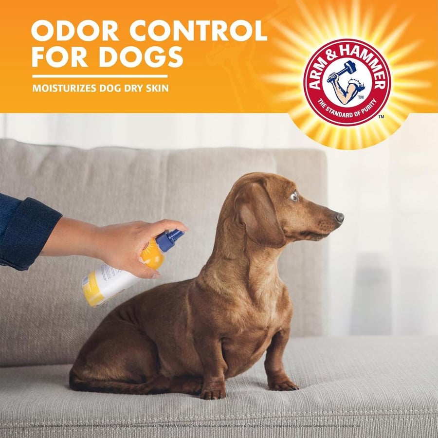 Arm & Hammer Super Deodorizing Spray for Dogs | Best Odor Eliminating Spray for All Dogs & Puppies from Arm & Hammer with Baking Soda, Kiwi Blossom Scent, 8 oz