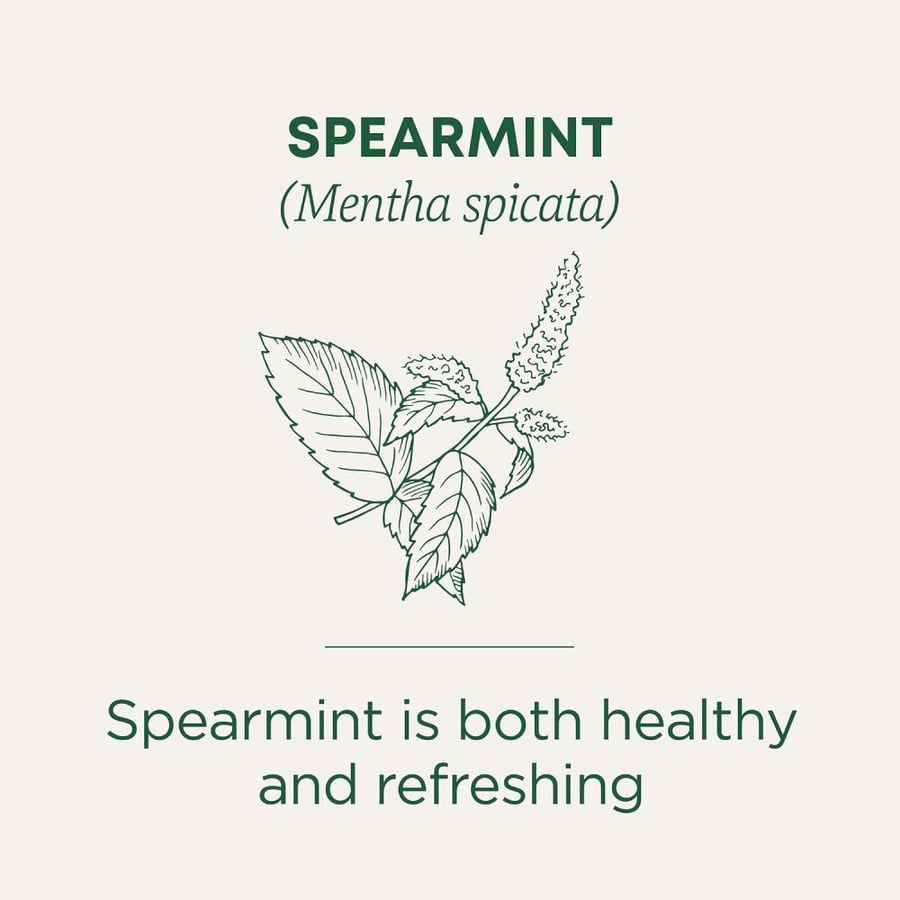 Traditional Medicinals Tea, Organic Spearmint, Supports Everyday Wellness, Healthy & Refreshing - 48 Tea Bags