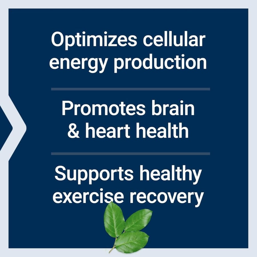 Life Extension, Optimized Carnitine, 60 Vegetarian Capsules