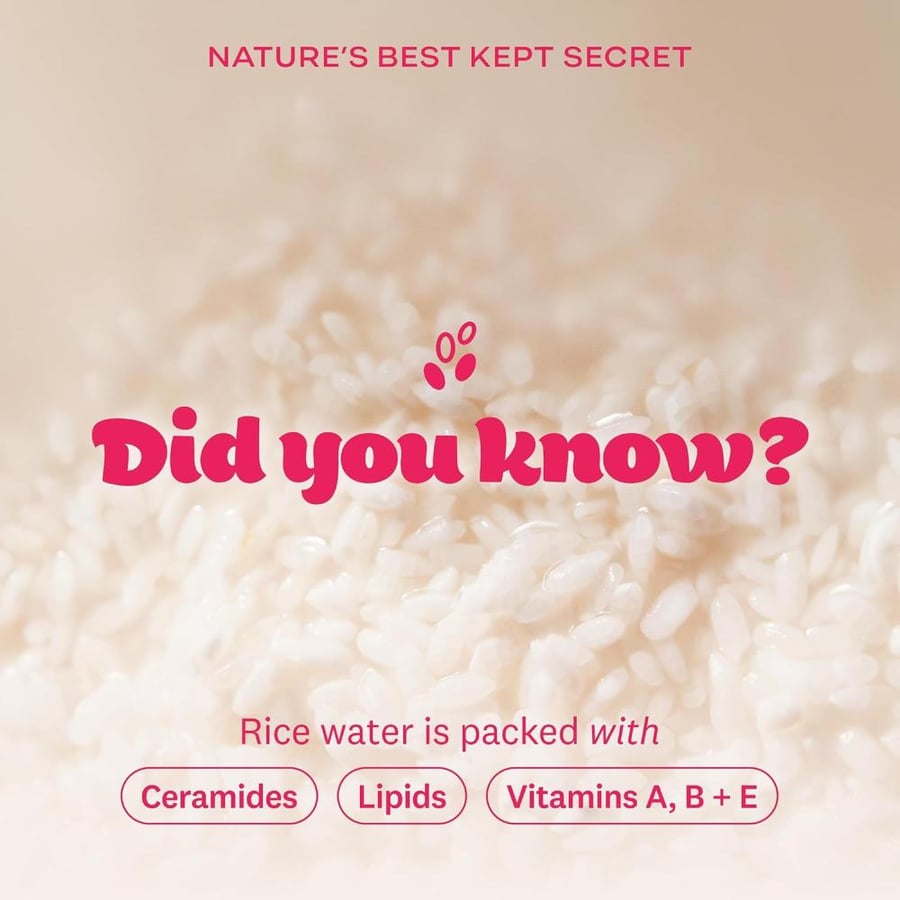 The Face Shop Rice Water Bright Foaming Facial Cleanser - Brightening - Hydrating - Ceramide - Moisturizing - Gentle Vegan Face Cleanser Face Wash - Korean Skin Care - 300ml