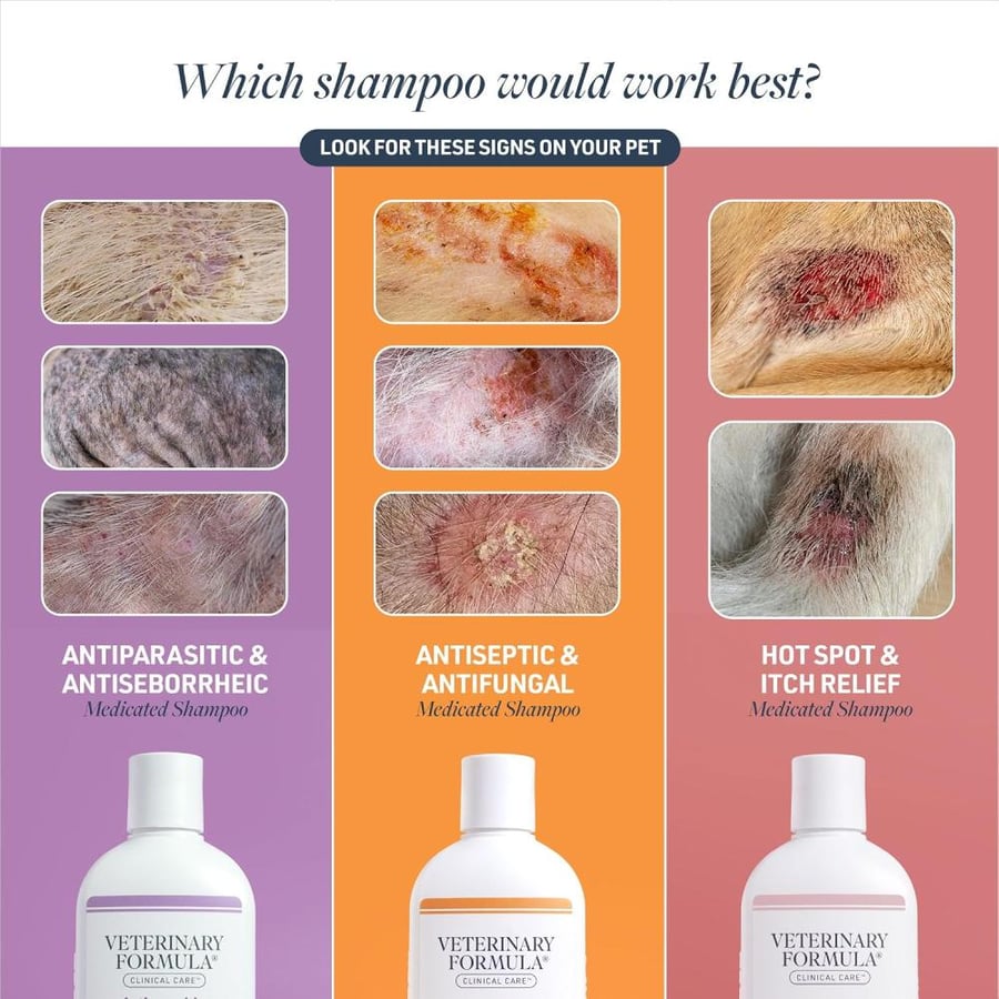 Clinical Care Antiseptic And Antifungal Shampoo, 453.59 Oz