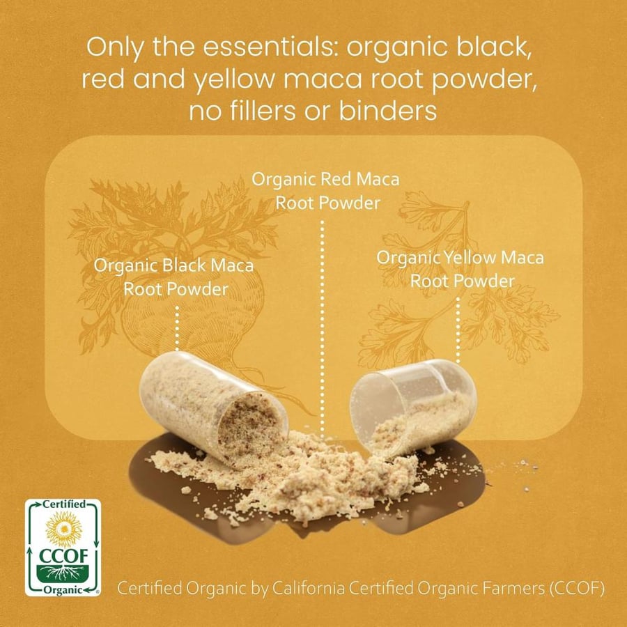 Organic Maca Root Black, Red, Yellow 1900 MG per Serving - 150 Vegan Capsules Peruvian Maca Root Gelatinized 100% Pure Non-GMO Supports Reproductive Health Natural Energizer