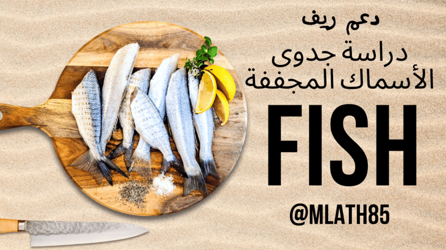 دراسة جدوى الأسماك المجففة