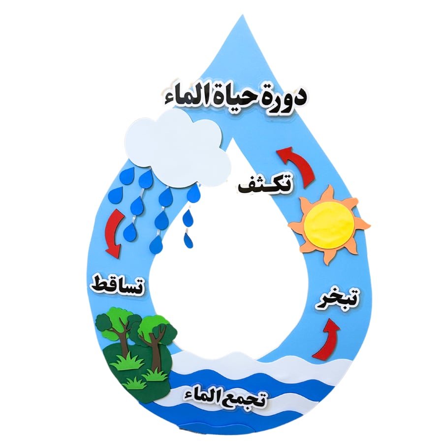 دورة حياة الماء