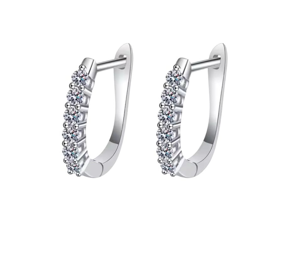 Huggie Hoop Earrings