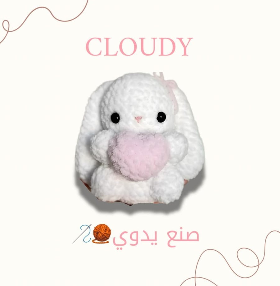 CLOUDY & BLACKIE