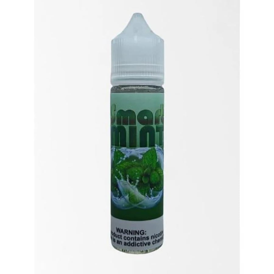 نكهة سمارت بطعم النعناع 60مل SMART MINT 60ML