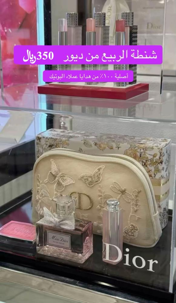 DIOR BAG