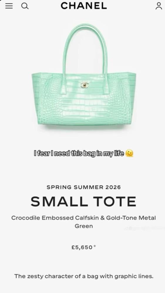 Chanel bag - blue