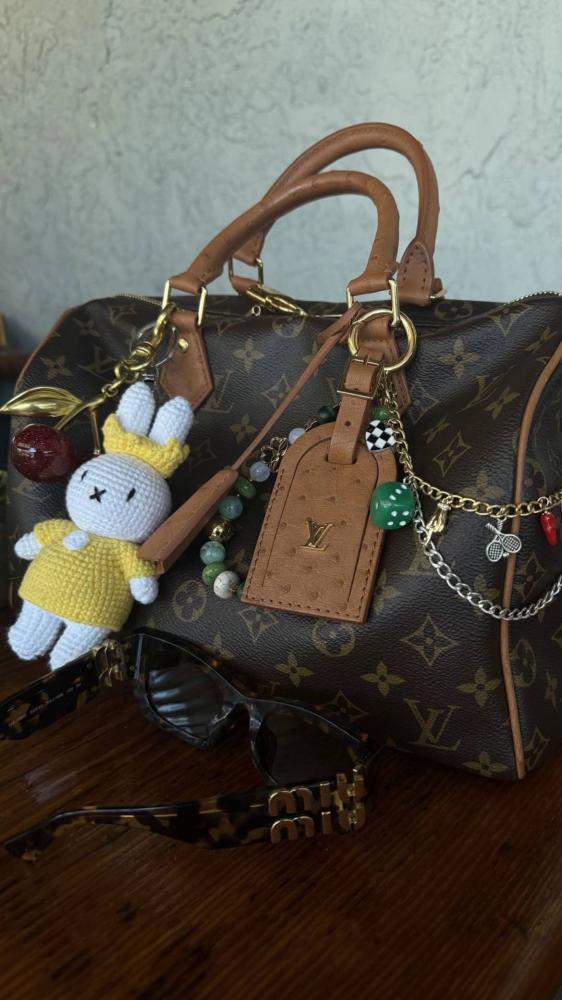 louis vuitton speedy 30