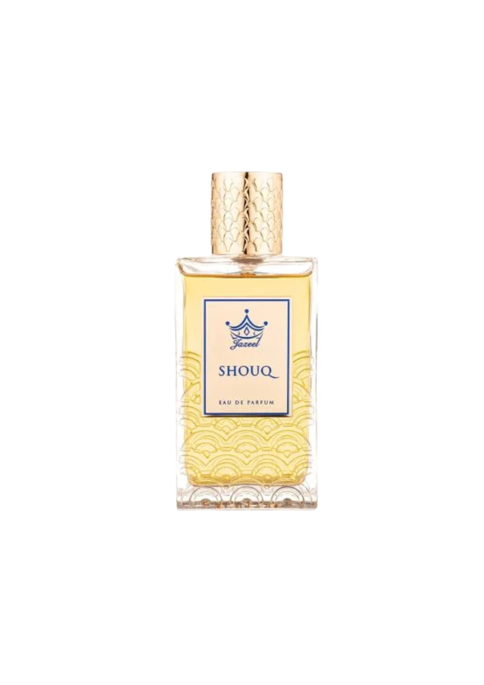 عطر جايزل شوق او دي بارفيوم 100 مل
