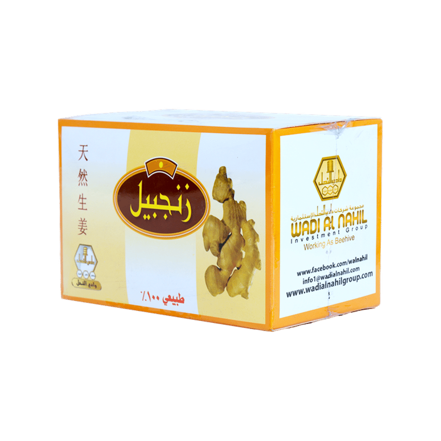شاي زنجبيل 100٪ شاي طبيعي 24 كيس شاي 2 غرام-GINGER 100  NATURAL TEA 24 TEA BAGSX2 GRAM