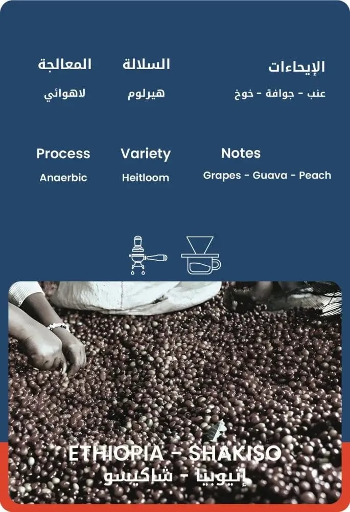 اثيوبيا شاكيسو | محمصة 30 وت | 250G